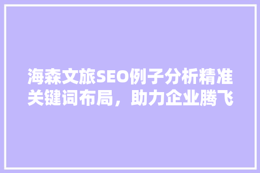 海森文旅SEO例子分析精准关键词布局，助力企业腾飞