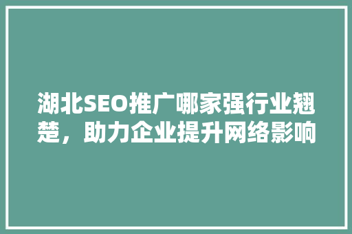 湖北SEO推广哪家强行业翘楚，助力企业提升网络影响力