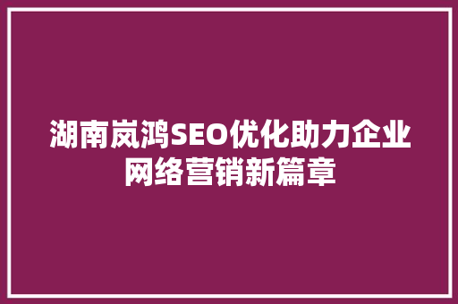 湖南岚鸿SEO优化助力企业网络营销新篇章