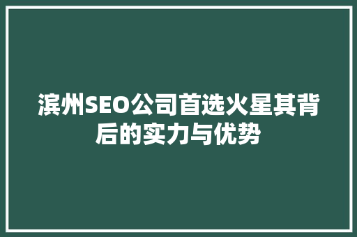 滨州SEO公司首选火星其背后的实力与优势