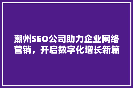 潮州SEO公司助力企业网络营销，开启数字化增长新篇章