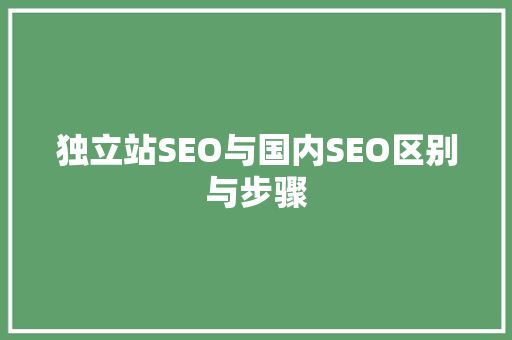 独立站SEO与国内SEO区别与步骤