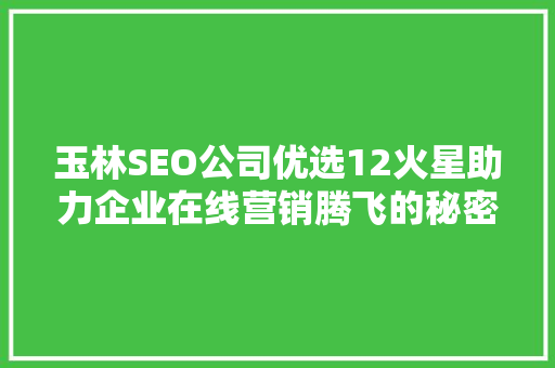 玉林SEO公司优选12火星助力企业在线营销腾飞的秘密武器
