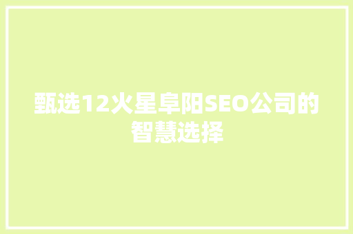 甄选12火星阜阳SEO公司的智慧选择