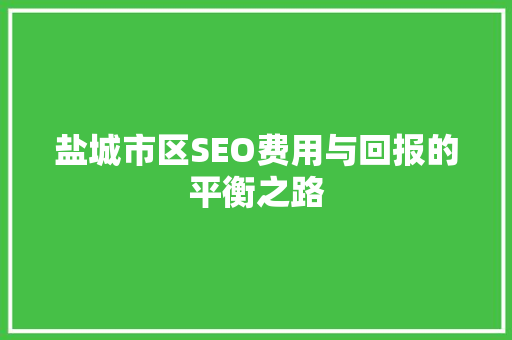 盐城市区SEO费用与回报的平衡之路