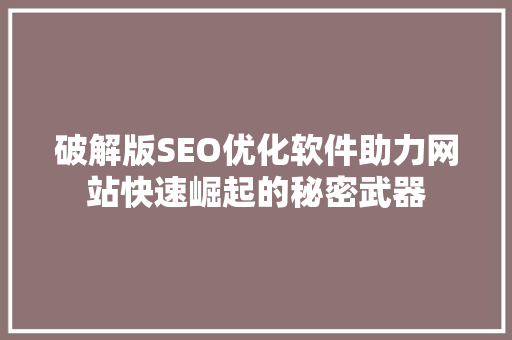 破解版SEO优化软件助力网站快速崛起的秘密武器