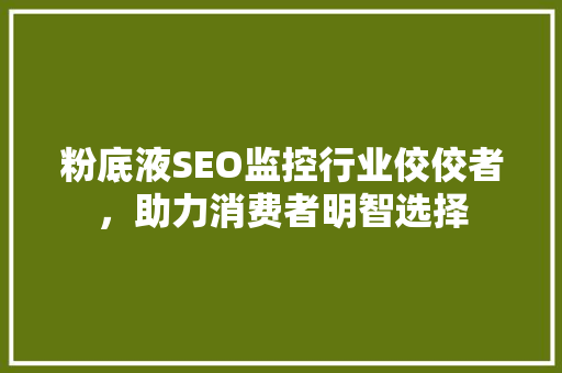粉底液SEO监控行业佼佼者，助力消费者明智选择