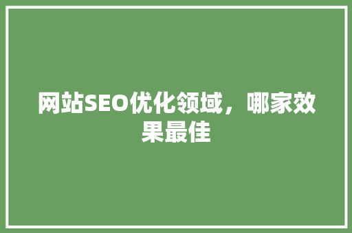 网站SEO优化领域，哪家效果最佳