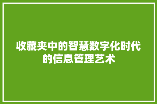 收藏夹中的智慧数字化时代的信息管理艺术