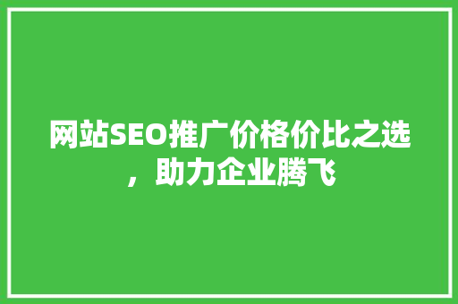 网站SEO推广价格价比之选，助力企业腾飞