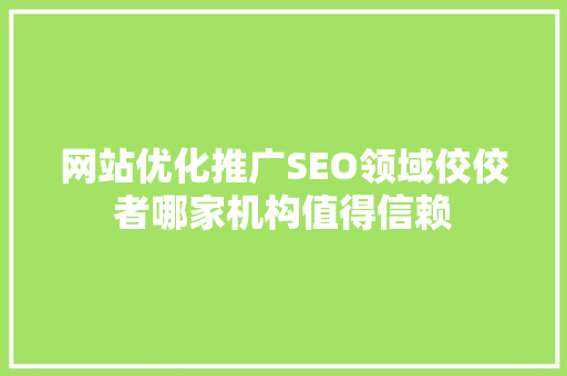 网站优化推广SEO领域佼佼者哪家机构值得信赖
