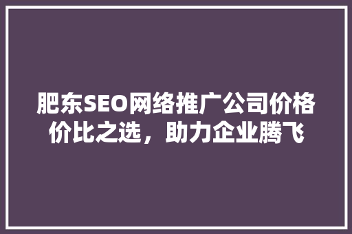 肥东SEO网络推广公司价格价比之选，助力企业腾飞