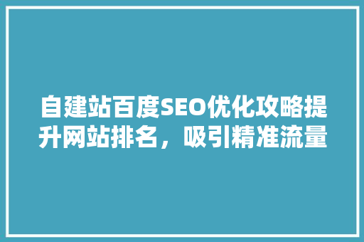 自建站百度SEO优化攻略提升网站排名，吸引精准流量