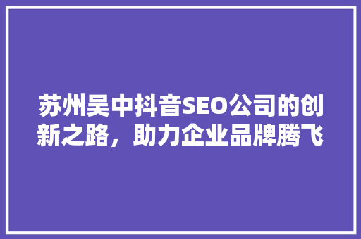 苏州吴中抖音SEO公司的创新之路，助力企业品牌腾飞