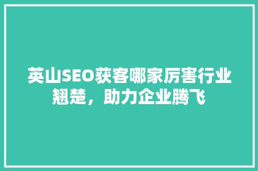 英山SEO获客哪家厉害行业翘楚，助力企业腾飞