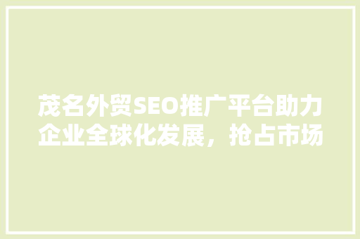 茂名外贸SEO推广平台助力企业全球化发展，抢占市场先机