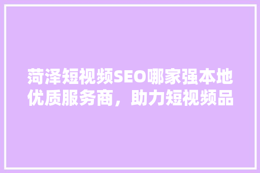菏泽短视频SEO哪家强本地优质服务商，助力短视频品牌崛起