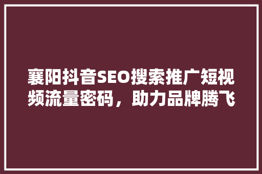 襄阳抖音SEO搜索推广短视频流量密码，助力品牌腾飞