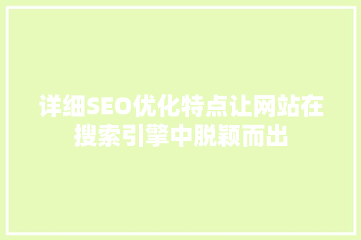 详细SEO优化特点让网站在搜索引擎中脱颖而出