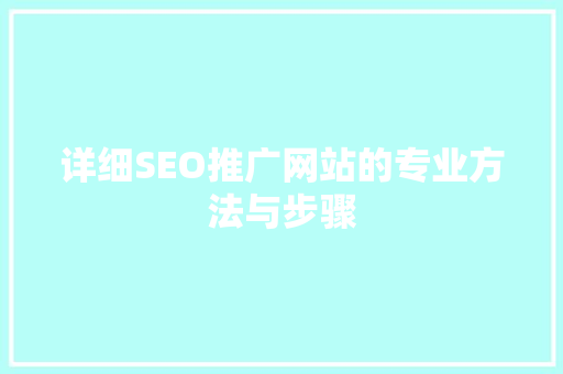 详细SEO推广网站的专业方法与步骤