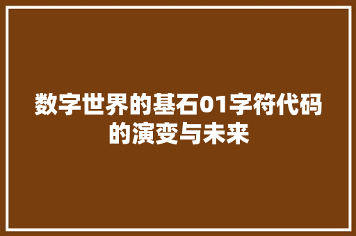 数字世界的基石01字符代码的演变与未来