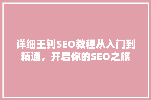 详细王钊SEO教程从入门到精通，开启你的SEO之旅
