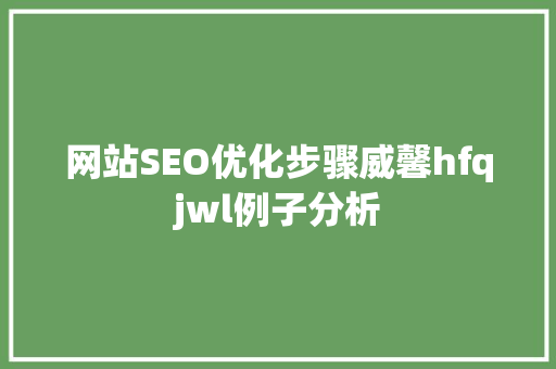 网站SEO优化步骤威馨hfqjwl例子分析