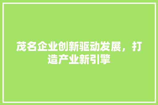 茂名企业创新驱动发展，打造产业新引擎