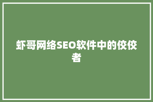虾哥网络SEO软件中的佼佼者