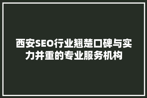 西安SEO行业翘楚口碑与实力并重的专业服务机构