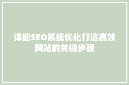 详细SEO系统优化打造高效网站的关键步骤