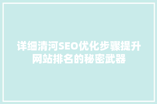 详细清河SEO优化步骤提升网站排名的秘密武器