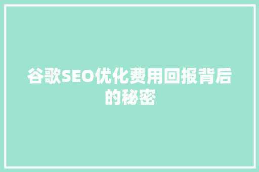 谷歌SEO优化费用回报背后的秘密