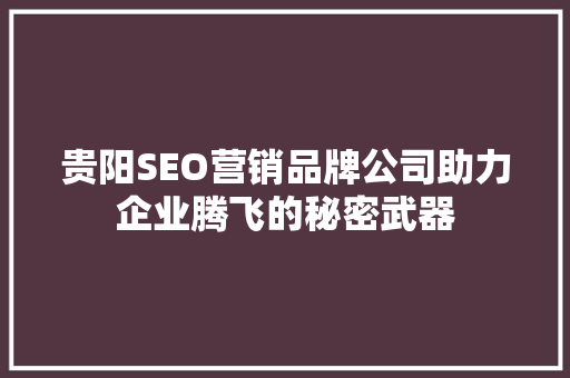贵阳SEO营销品牌公司助力企业腾飞的秘密武器