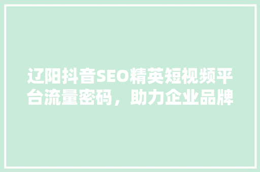 辽阳抖音SEO精英短视频平台流量密码，助力企业品牌腾飞