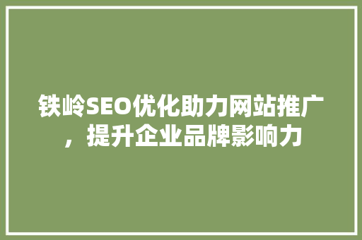 铁岭SEO优化助力网站推广，提升企业品牌影响力