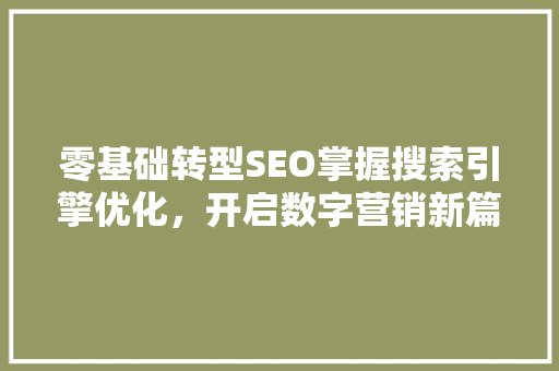零基础转型SEO掌握搜索引擎优化，开启数字营销新篇章