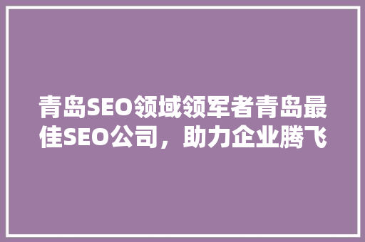 青岛SEO领域领军者青岛最佳SEO公司，助力企业腾飞