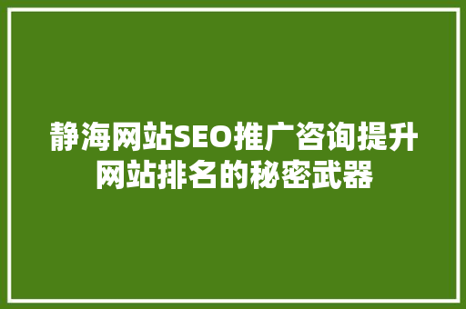 静海网站SEO推广咨询提升网站排名的秘密武器
