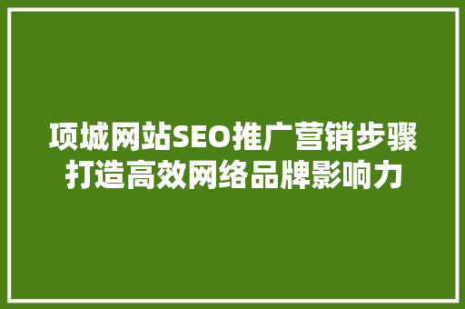 项城网站SEO推广营销步骤打造高效网络品牌影响力