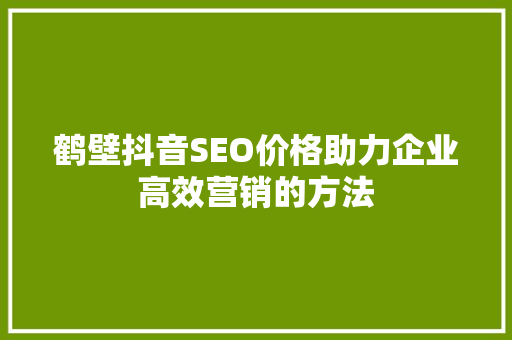 鹤壁抖音SEO价格助力企业高效营销的方法