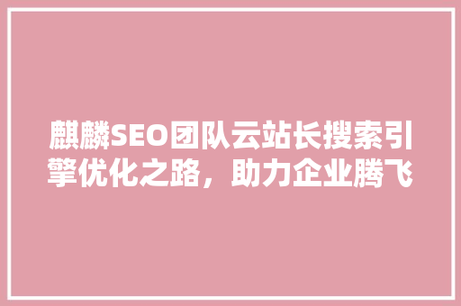 麒麟SEO团队云站长搜索引擎优化之路，助力企业腾飞