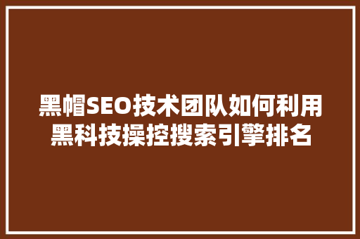 黑帽SEO技术团队如何利用黑科技操控搜索引擎排名