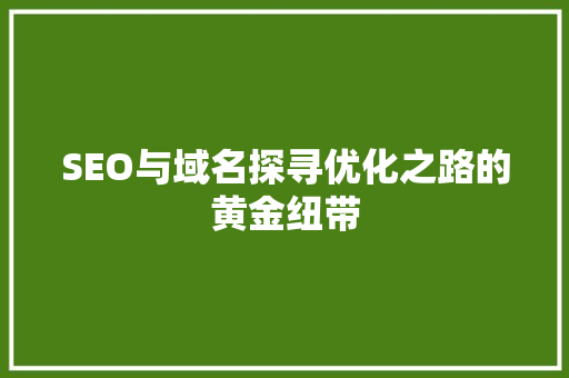 SEO与域名探寻优化之路的黄金纽带