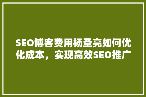 SEO博客费用杨圣亮如何优化成本，实现高效SEO推广
