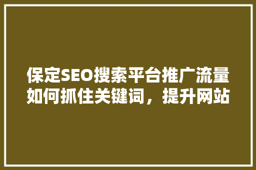 保定SEO搜索平台推广流量如何抓住关键词，提升网站排名