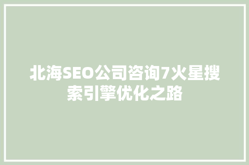 北海SEO公司咨询7火星搜索引擎优化之路