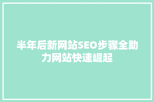 半年后新网站SEO步骤全助力网站快速崛起