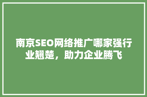 南京SEO网络推广哪家强行业翘楚，助力企业腾飞