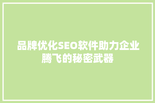 品牌优化SEO软件助力企业腾飞的秘密武器